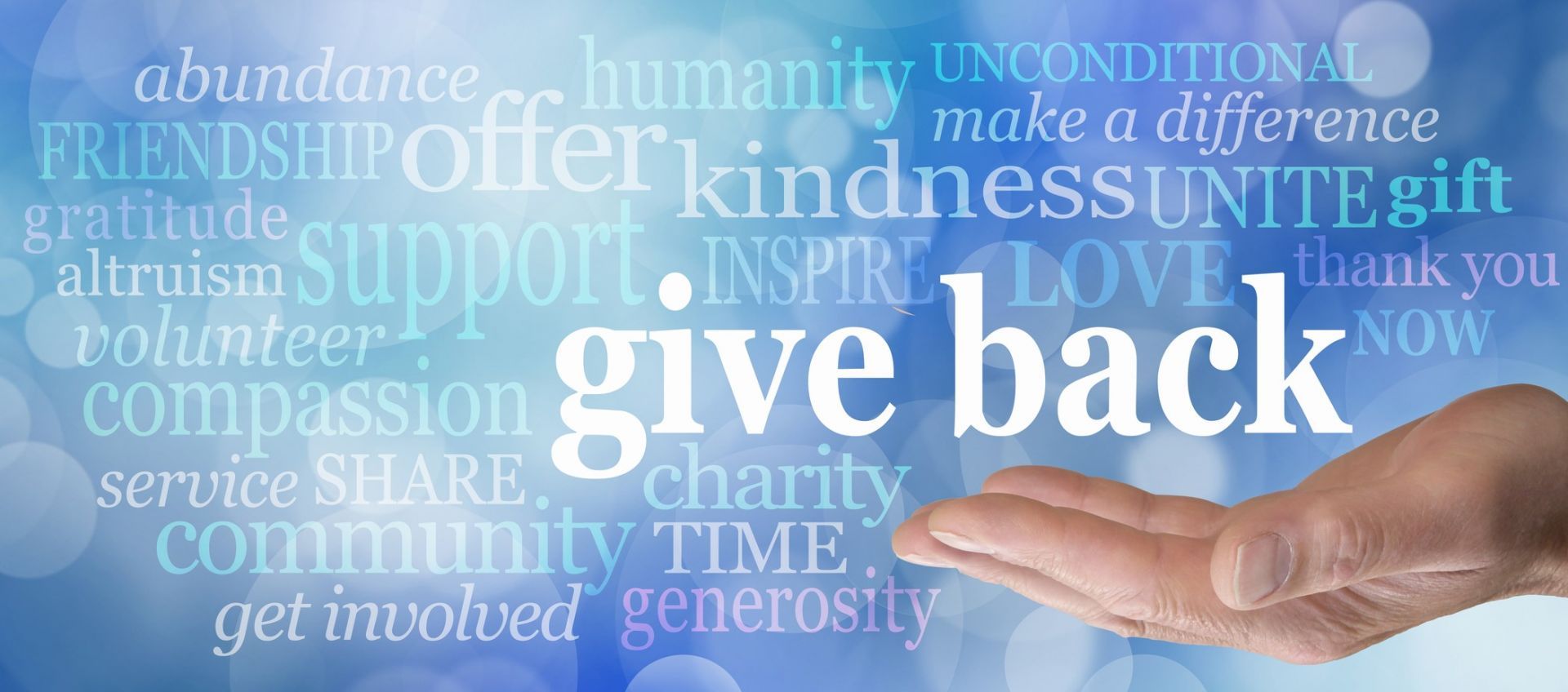 Give Back Graphic.jpg